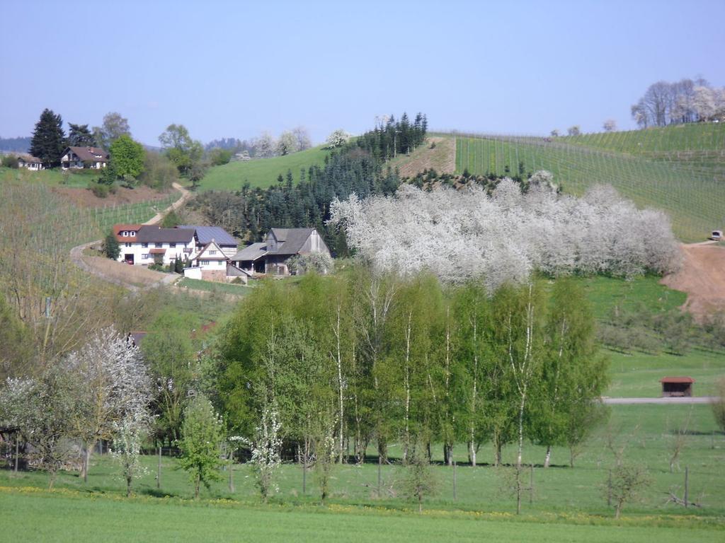 Ferienwohnung Am Weinberg أوبركيرش المظهر الخارجي الصورة